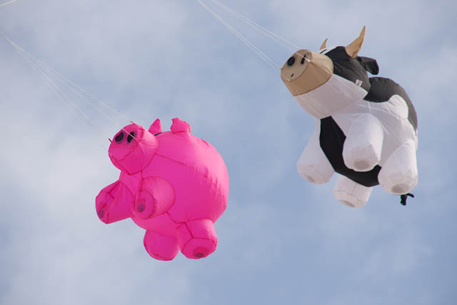 Bouncing Buddy,Cow (zwart-wit),Onbekend