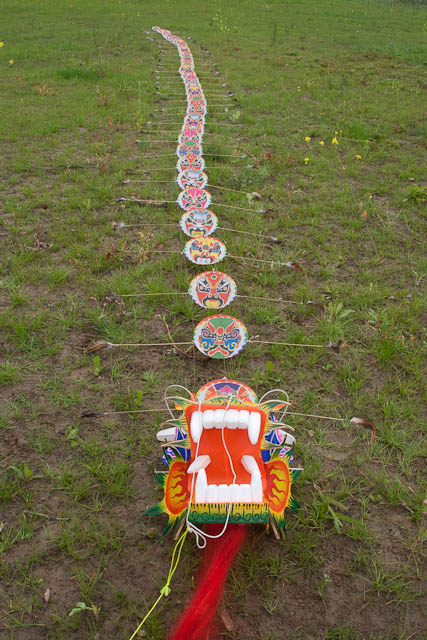 Chinese Dragon (centipede),12 m,Zijde