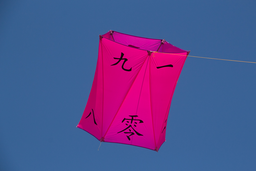 Drumbox,Chinese numbers,Carrington: Fluor Pink