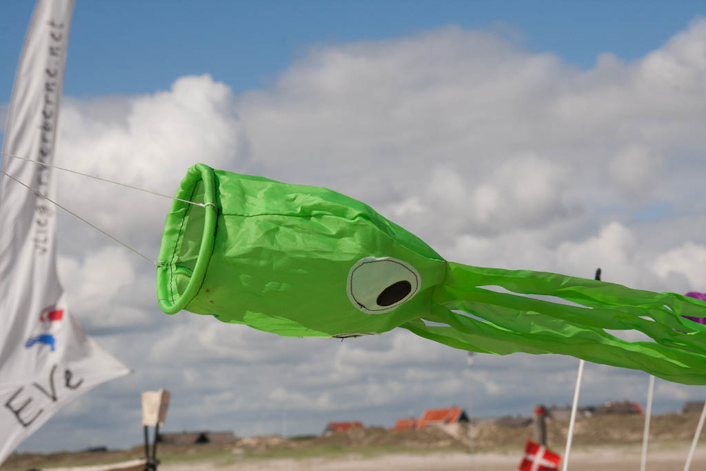 Windsock Octopus,Green,