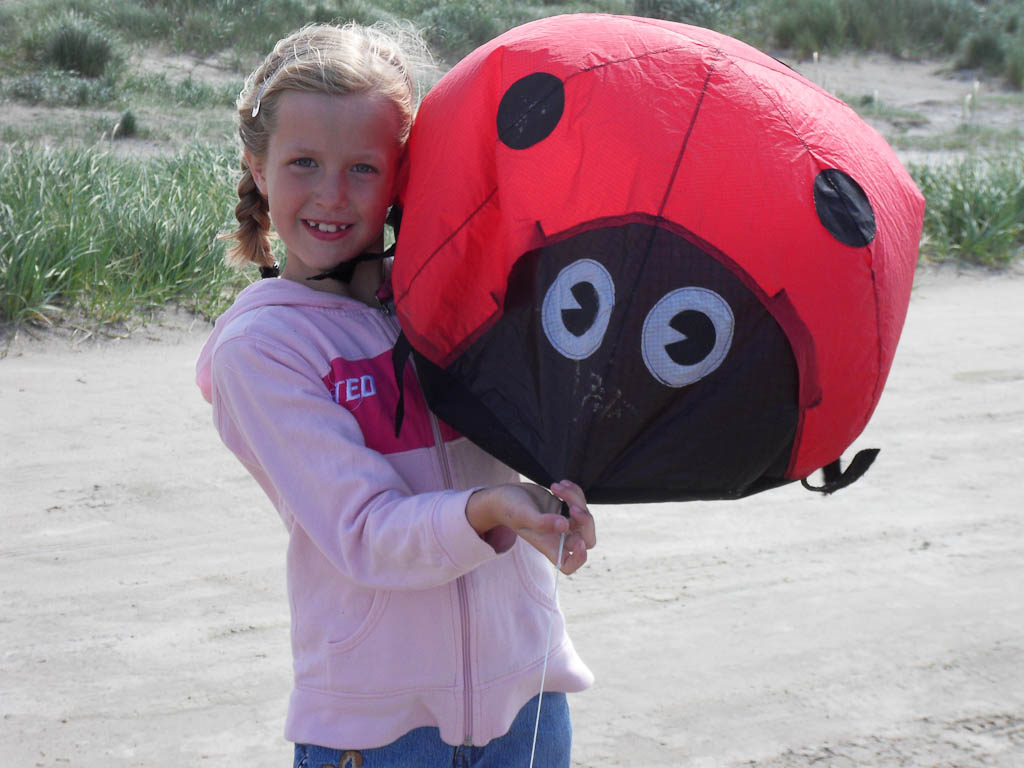 Ladybug,,Mirai: red; Icarex: black; Cordura o.i.d.  van een sporttas