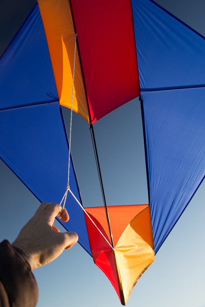 French Military Kite,Millie,Chikara: Blue, Red, Orange, Ocher