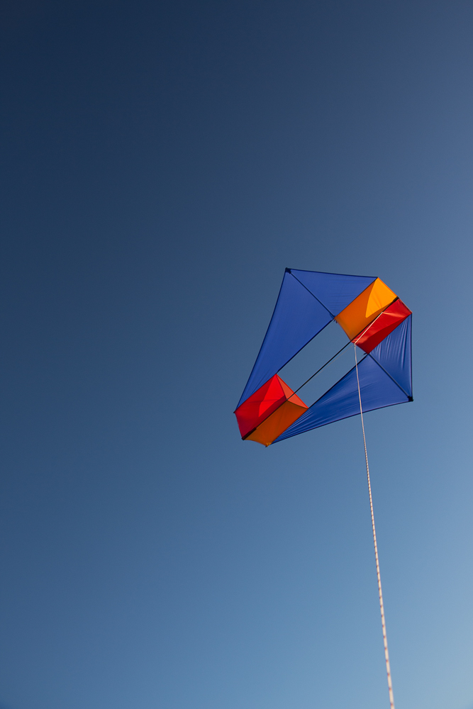 French Military Kite,Millie,Chikara: Blue, Red, Orange, Ocher