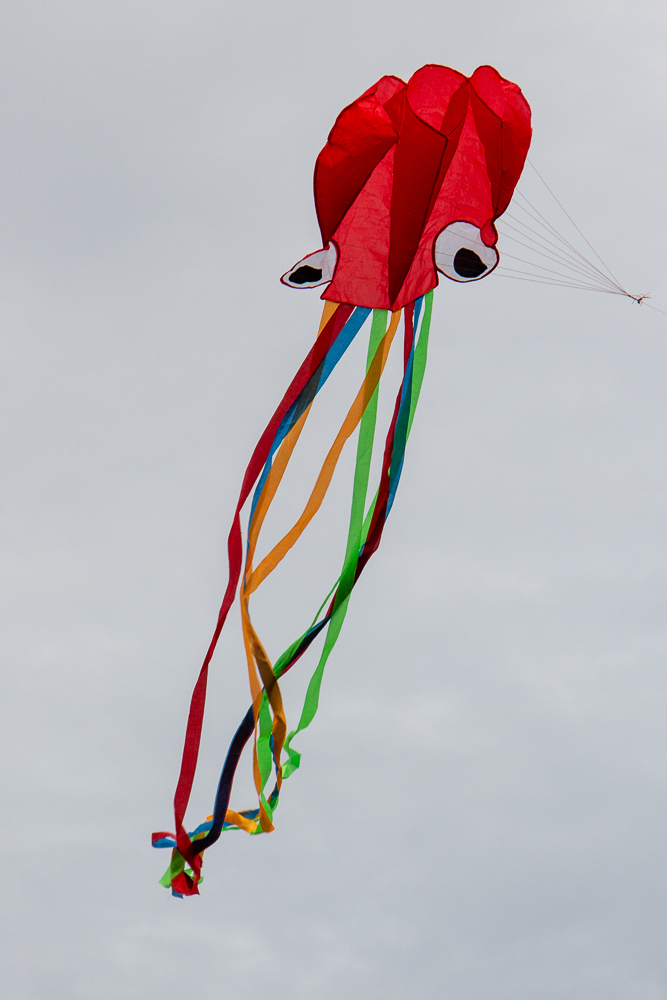 Octopus,Red with multicolour tail,Red