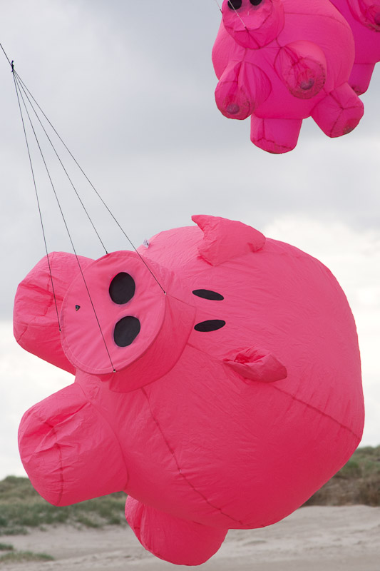 Bouncing Buddy,Porky Pete,onbekend