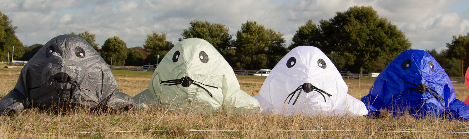 Bouncing Buddy,Seal White,Chikara White