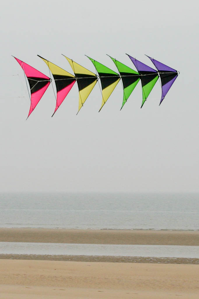 Speedwing,Proton-6 (Yellow Pink),Chikara: Black, Fluor Yellow, Fluor Pink