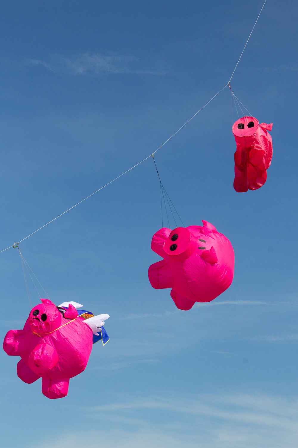 Bouncing Buddy,Super Varken (Pig),onbekend