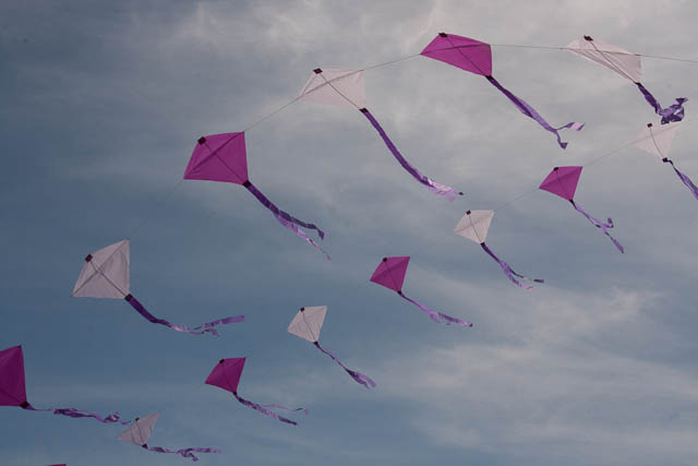 Kite Arc,Purple 1,Carrington: Shades of Purple