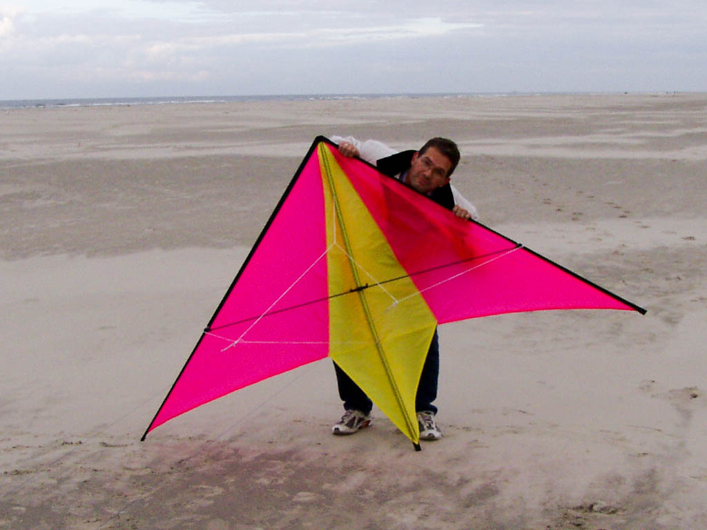 Zipp,Big,Chikara: Fluor Pink, Fluor Yellow